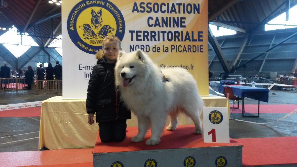 Du Jardin Des Petits Choux - Exposition Canine Territoriale Nord De La Picardie