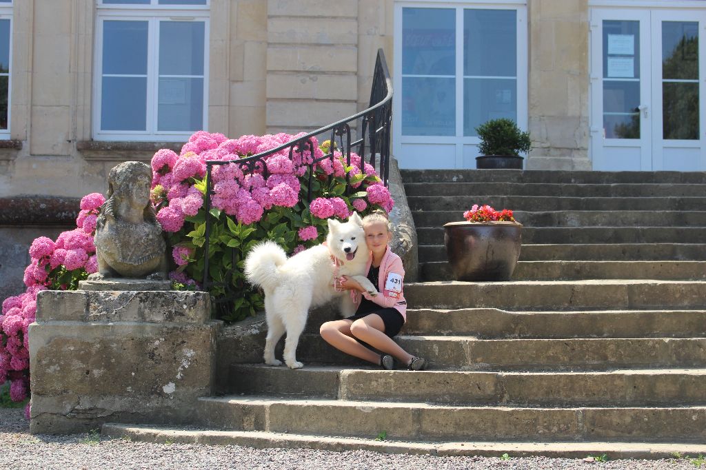 Du Jardin Des Petits Choux - Exposition Canine nationale de Maltot du 14 Juillet 2018 