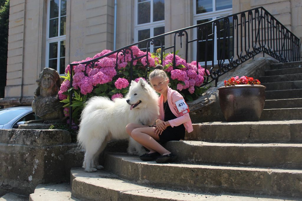 Du Jardin Des Petits Choux - Exposition Canine nationale de Maltot du 14 Juillet 2018 